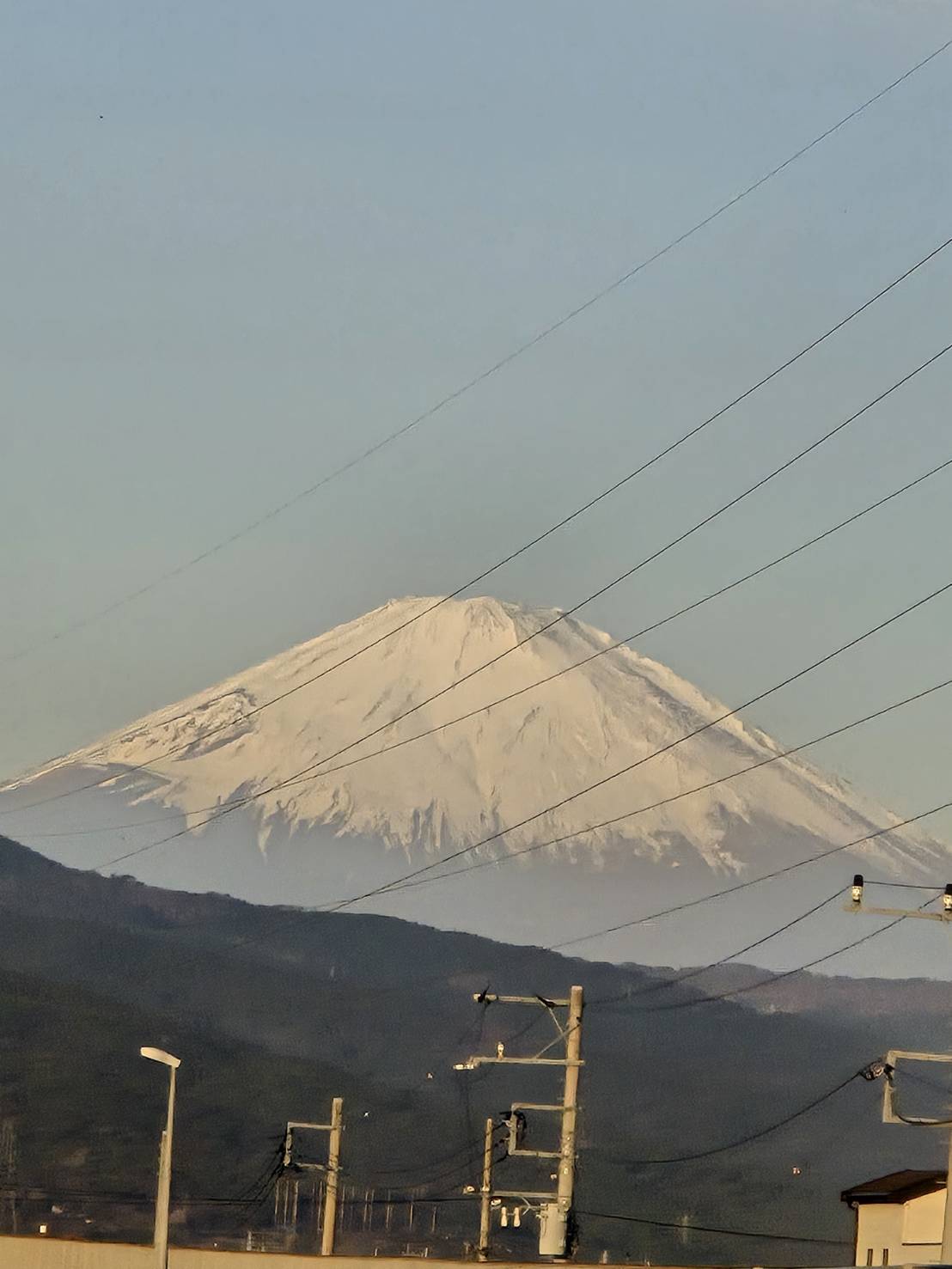 いつかのラウンド⛳️ 朝の空気と木の匂い、やっぱ最高！