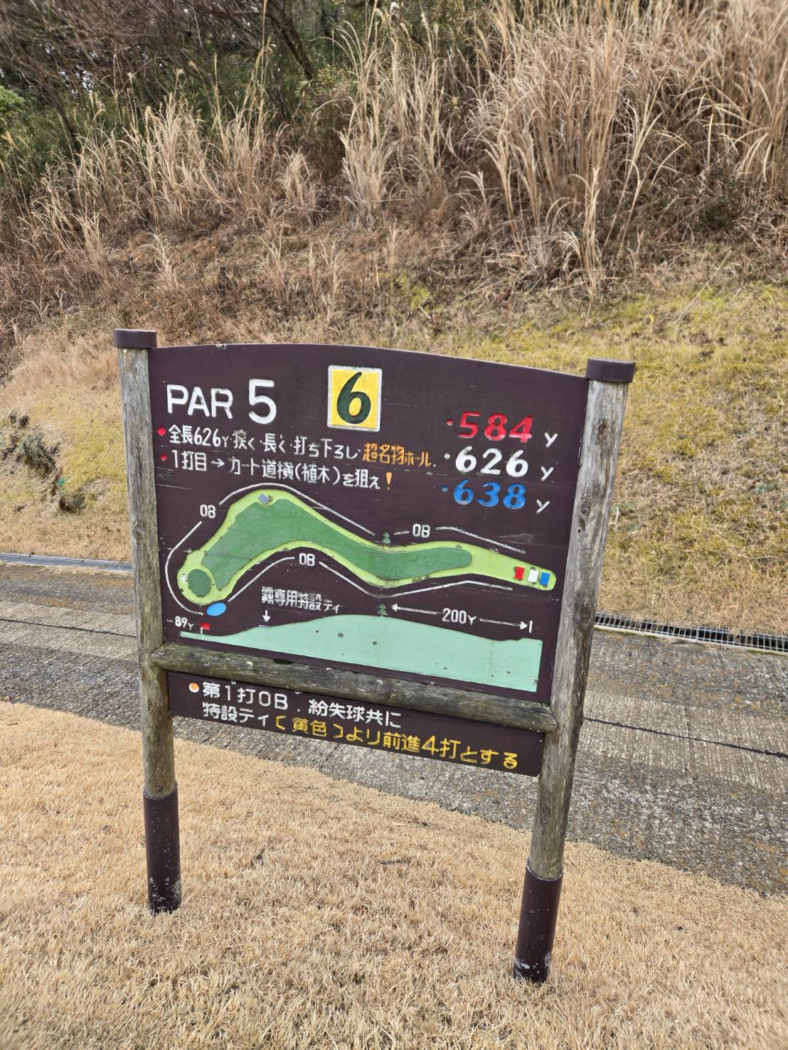 いつかのラウンド⛳️ 朝の空気と木の匂い、やっぱ最高！ - 写真3